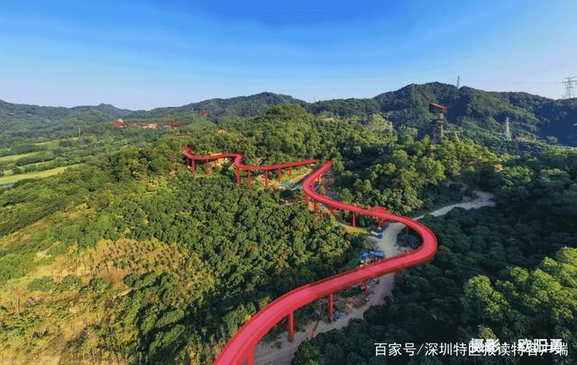 深圳最美“红飘带”跃然延伸 虹桥公园二期规划公示，擘画城市生态新蓝图