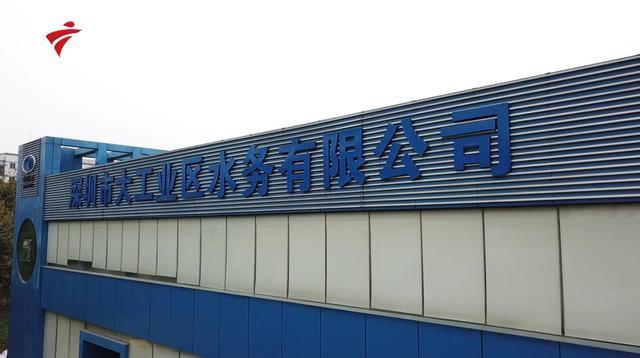 广东电视台广东新焦点报道
